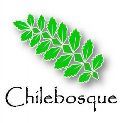 logo organizacion